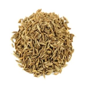 Cumin Seed