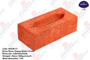 Diamond Polishing Brick