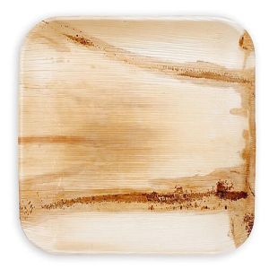 SSP4 Areca Leaf Square Plate