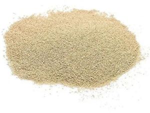 Yeast Powder