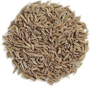 Cumin Seeds