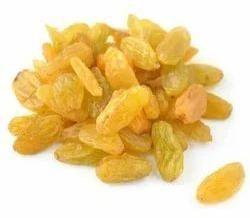 Indian Raisins