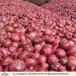 Fresh Red Onion