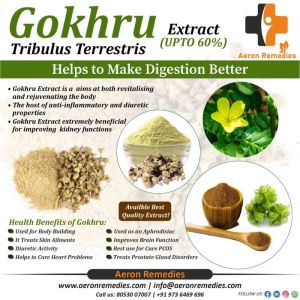 Gokhru Extract