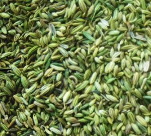 Fennel Seed