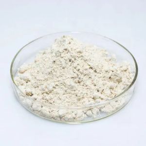 gaur gum powder