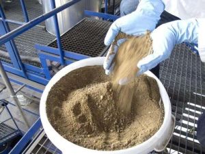 Raw Bone Meal Powder