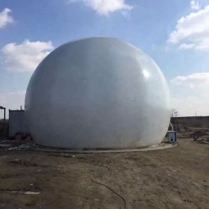 Biogas holder