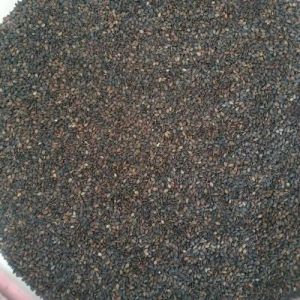 Black Sesame Seed