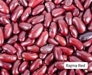 red rajma