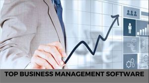Custom Business Management Software