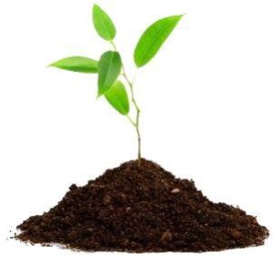 Fertilizer License Services