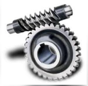 Worm Gears