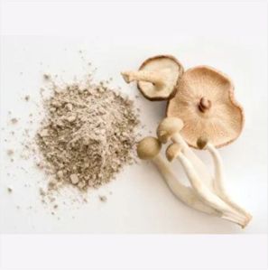 Organic Shiitake Mushroom Brown Yellow Powder Shiitake Mushroom Extract