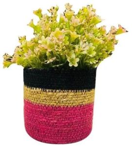 Flower Pot