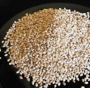 Sesame Seeds