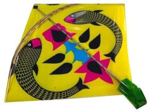 Printed Plastic Kite