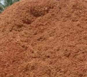 Coco Peat Powder