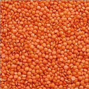 Split Red Lentils