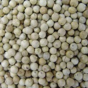 White Pepper Seeds