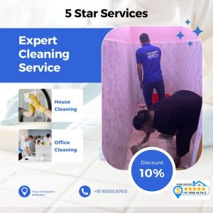 Pest Control Services