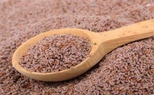 Psyllium Seeds