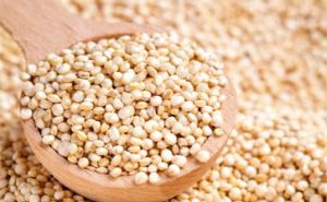 Quinoa Seeds