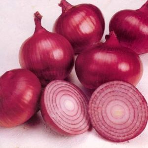 Fresh Onion