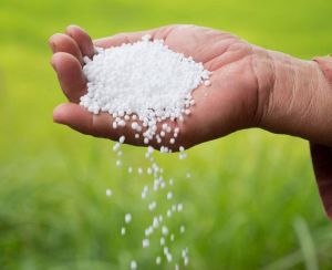 Urea Fertilizer