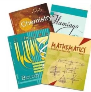 Class 12 NCERT Books Set