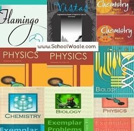 Class 12 UP Board Books Set