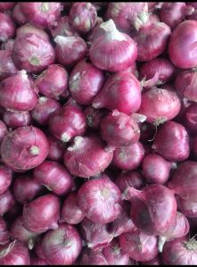 Red Onion