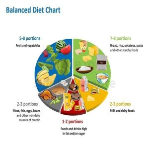 Nutrition Consultation Service