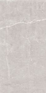 Stellar Dove Polished Tiles