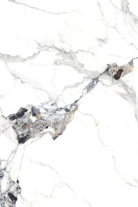 Zara White Glossy Tiles