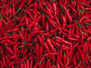 Fresh Red Chilli