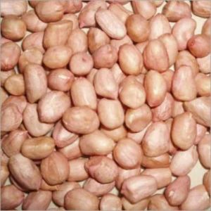 Groundnut Seeds