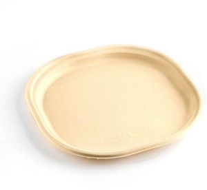 7 Inch Sugarcane Bagasse Disposable Plate