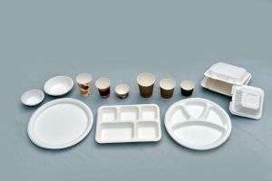 Sugar Cane Bagasse Disposable Plate