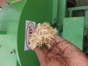 Lantana Wood chips