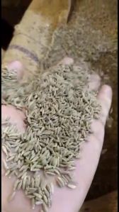 Cumin Seeds