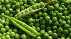 kashmiri peas