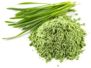 Wheatgrass Powder