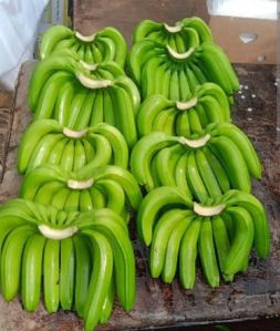 Fresh Cavendish Bananas