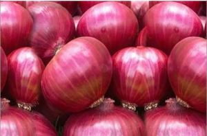 Onions