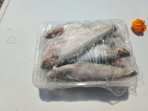 Frozen Pabda Fish