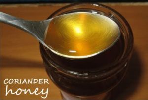 Coriander Honey