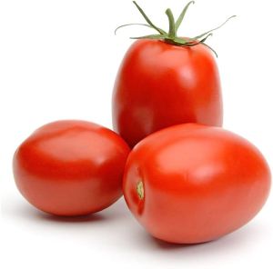 Fresh Hybrid Tomato