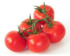 Fresh Natural Tomato