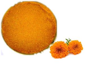 Marigold Powder